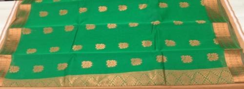 PL BIG BUTTA SAREE